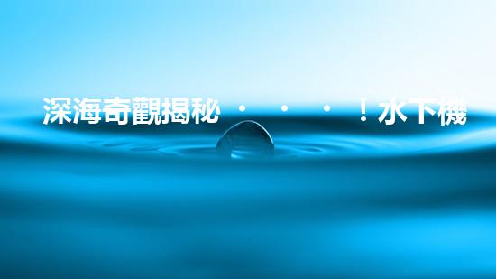 深海奇觀揭秘！水下機(jī)器人探索未知世界，你敢跟隨嗎？